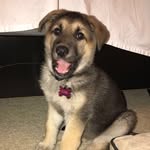 Kobe Peterson - @kobenobryanttt - Instagram