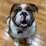 Kobe Rivera - @kobebeenballin24 - Instagram