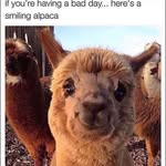 Kobe Robinson - @kobe.robinson.942 - Instagram