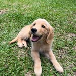 Kobe Mojito Vargas Rosales - @kobe_mojito - Instagram