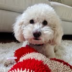 Kobe Ross - @kobe_ross_ - Instagram