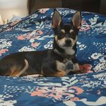 Kobe James Vazquez Serrano - @kobe.james29 - Instagram