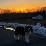 Kobe Shaw - @kobe.shaw13 - Instagram