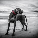 kobe smith - @kobesmith - Instagram