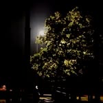 Kobe Smith - @kobe_smith1313 - Instagram