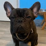 Kobe West - @kobewest_ - Instagram