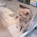 Kobe Wong - @kobe_0330 - Instagram