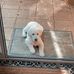 Kobe Brooks - Facebook
