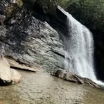 Koby Lee - @koby_lee58 - Instagram
