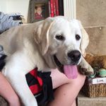 Koby Miller - @kobymiller_ - Instagram