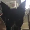 kodimartin24 - @kodimartin24 - TikTok