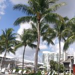 kodi miller - @kobidavid421 - Instagram