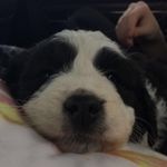 Kodi Thompson - @kodi_thompson_31 - Instagram