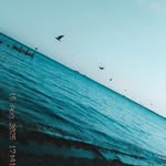 kodie wallis - @kodie_wallis - Instagram