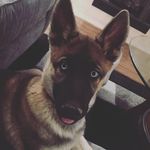Kodi Wilson - @kodiblue17 - Instagram