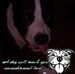 Kodi Womack - Facebook