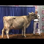 Kody Blevins - Facebook