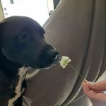 Kody Bowman - @bowman.kody - Instagram
