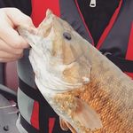 Kody Clark - @kody797 - Instagram