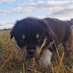 Kody Clark - @kodyclark7 - Instagram