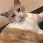 Kodydodge - @kodydodge5 - Instagram