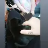 Kody Graham - @kody.graham88 - TikTok