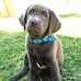 Kody Gray - Facebook