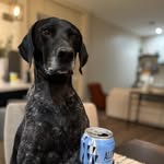 Kody&Henry - @gentleman_gsps - Instagram
