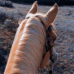 Kody Hill - @krh_hill - Instagram