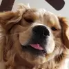 Uraiphorn Kodyoo - @uraiphornkodyoo - TikTok