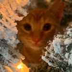 Kody Lamkin - @kodylamkin24 - Instagram