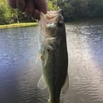 Cody Lyon - @cody_558064 - Instagram