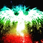 Follow main @ True_X_Panic - @kody_mcgee - Instagram
