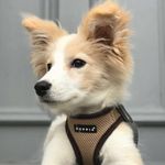 Marley & Kody Watson-Dunmore - @marleyandkody - Instagram