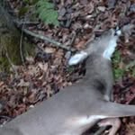 redneck20 - @kodywhitt - Instagram