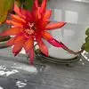 Koun Lim - @koun.lim - TikTok