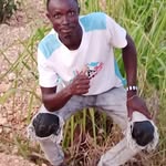 Kofi Johnson - @y72048210 - Instagram