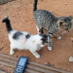 Emmanuel Kofi Appiah Nti - Facebook