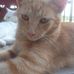 Kohl Henry - Facebook