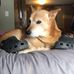 Kohl Henry - Facebook