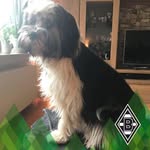 Volker Kohlmeyer - @kohlmeyervolker - Instagram
