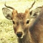 安藤 康一 - @koichi.ando.5686 - Instagram