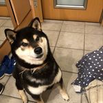 Koichi Ando - @koichi_ando1.1 - Instagram