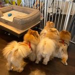 Koichi ANDO - @masahiroyuuko_ - Instagram