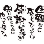 うるわしこうじ - @koji_maruta - Instagram