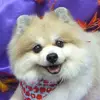 Koji_Maruta - @user14od8c2d6if - TikTok