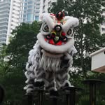 Kok Ngai Lion Dance Club - @kok_ngai_lion_dance_club - Instagram