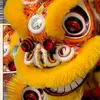 KOK NGAI LION DANCE CLUB - @kokngai - TikTok
