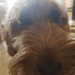 Kolby Brown - @kolbyb18 - Instagram