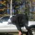 Colby Lee - Facebook